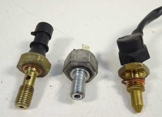 Sensor - overige elektronica Triumph Tiger 1050