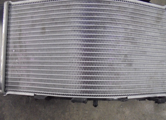 Radiateur BMW F 750 GS