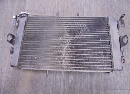 Radiateur Triumph Tiger 800 XRT