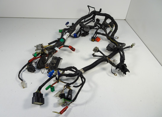 Kabelboom KTM 125 Duke