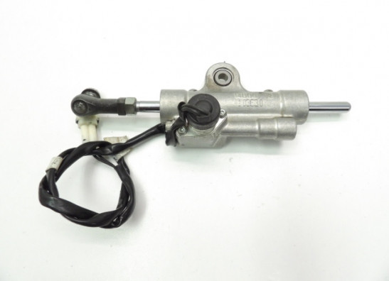 Lenkungs Dampfer Yamaha YZF R1