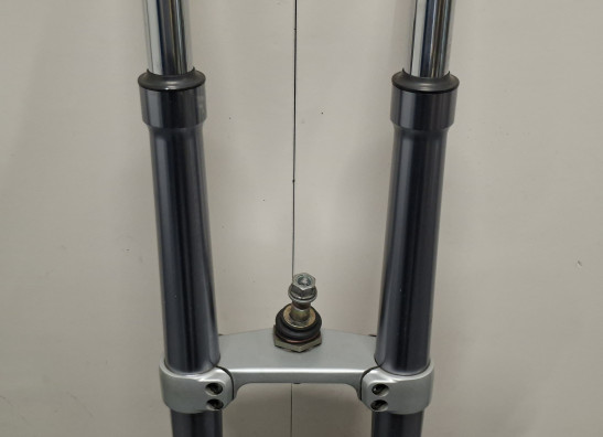 Voorpoten compleet BMW R 1100 S