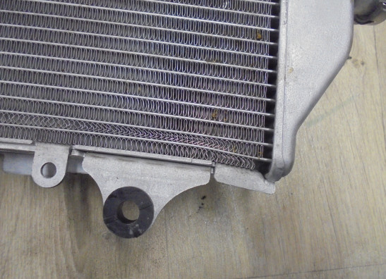 Radiateur Honda CRF 1100 Africa Twin