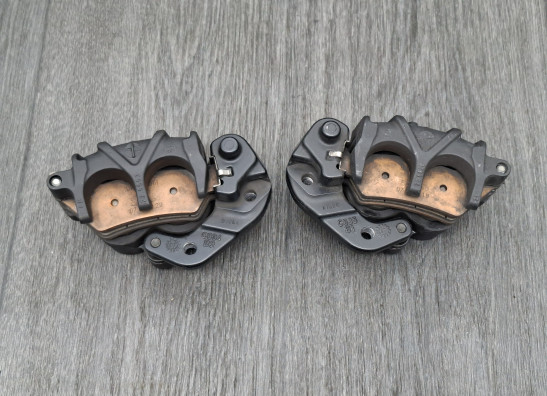 Remklauwen BMW F 850 GS