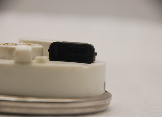 Teller Harley Davidson Softtail