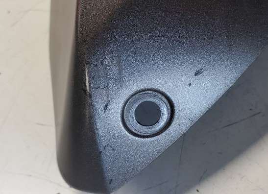 Afdekkap Aprilia Tuono 1000