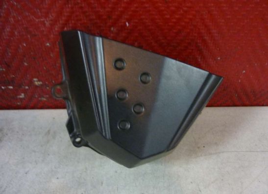 Motorblokdeksel voortandwiel Kawasaki Z 1000