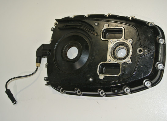 Engine cover BMW R 1200 GS
