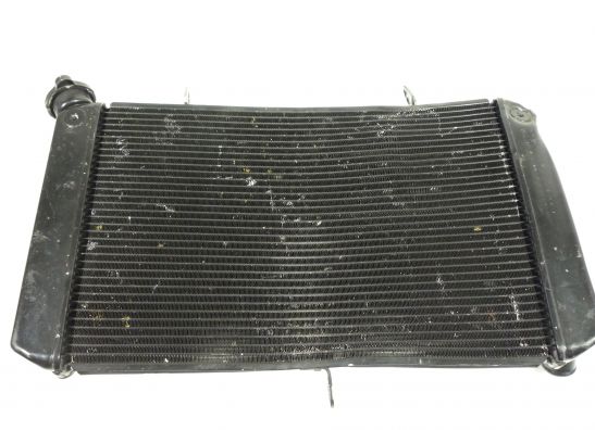 Radiator Yamaha FZ1