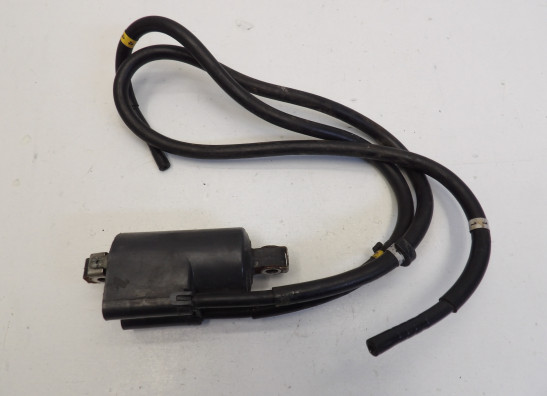 Bobine Yamaha FJR 1300