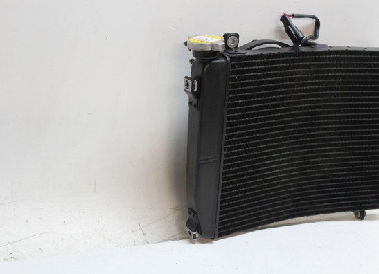 Radiateur Aprilia Tuono 660