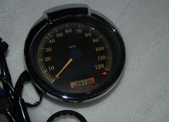 Teller Harley Davidson Touring FL