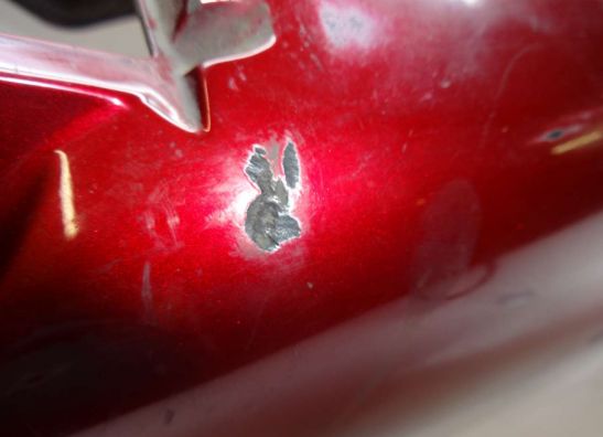 Hinterradabdeckung Kawasaki EL 250