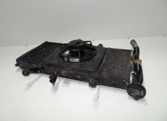 Radiator Triumph Sprint RS