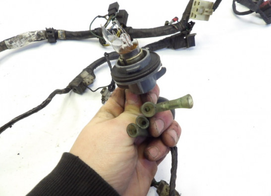 Wire Harness Honda CB 250