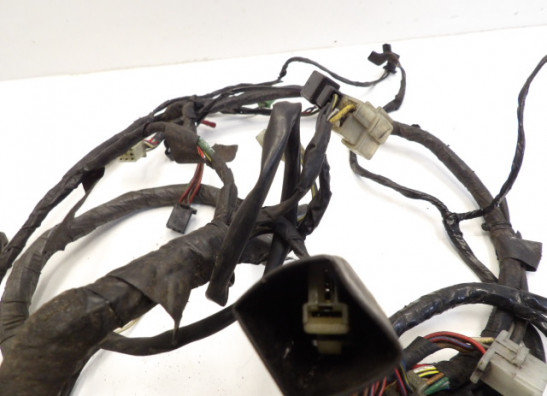 Wire Harness Kawasaki ZZR 1100