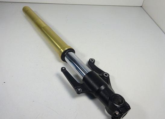 Front Fork left complete Triumph Street Triple 675