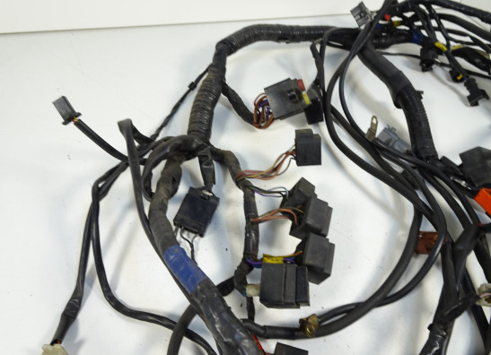 Wire Harness Triumph Sprint ST 1050