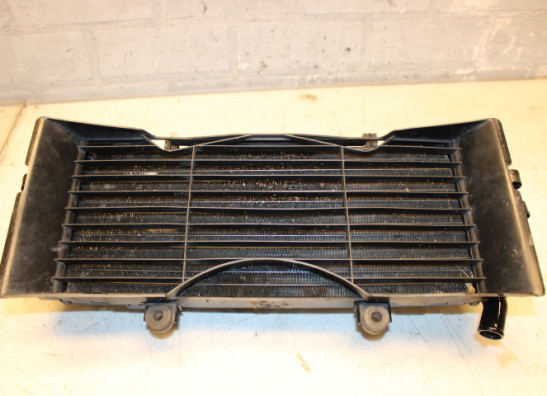 Radiateur Honda CBR 600 F