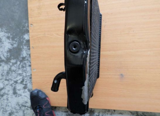 Radiator Yamaha YZF R1