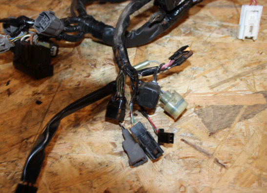 Kabelboom Kawasaki ER 6