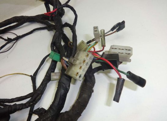 Kabelbaum Kawasaki ZZR 1100