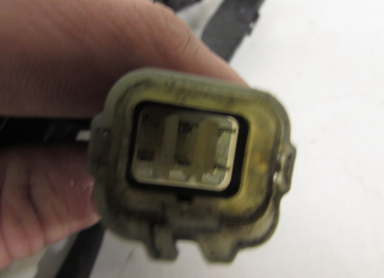 Kabelbaum Yamaha YZF R1