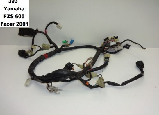 Wire Harness Yamaha FAZER 600