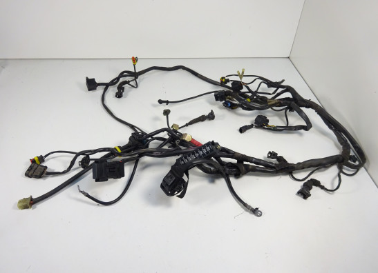 Kabelboom Ducati monster 600 2002-2007