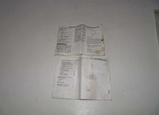 Fahrerhandbuch Yamaha FZ1