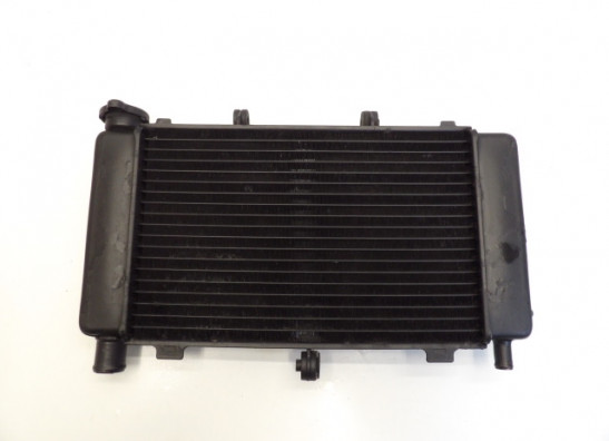 Radiator Yamaha FZ6