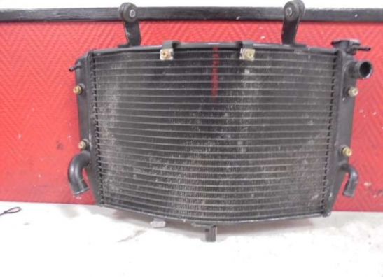 Radiator Yamaha YZF R1