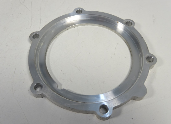 Brandstofpomp Triumph Street Triple 675