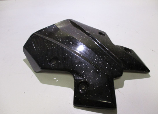 Windscreen Kawasaki Z 900