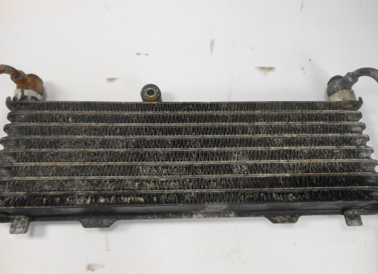 Olkuhler Suzuki GSX F 600