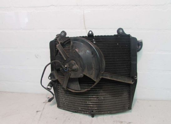 Radiateur Suzuki RF 600