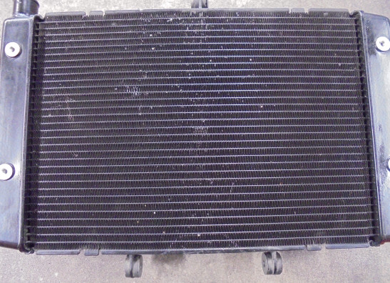 Radiateur Honda CBF 1000