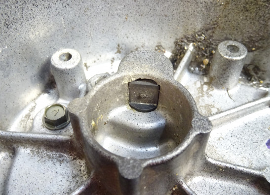 Ritzelabdeckung Kawasaki Z 750