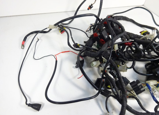 Kabelbaum Aprilia Dorsoduro 750