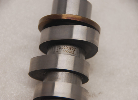 Nokkenas Harley Davidson Softtail