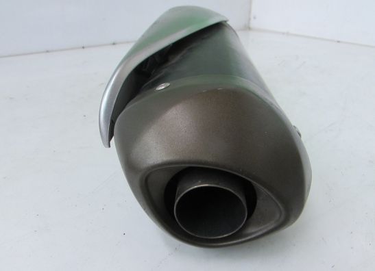 Uitlaat Kawasaki ZX 10 R