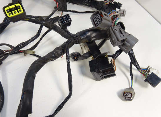 Kabelbaum Kawasaki ER 6