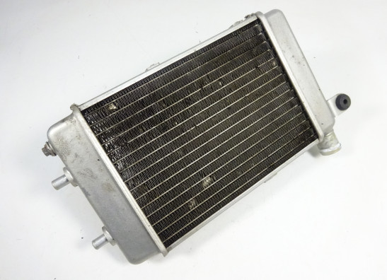 Kuhler Aprilia RSV 1000