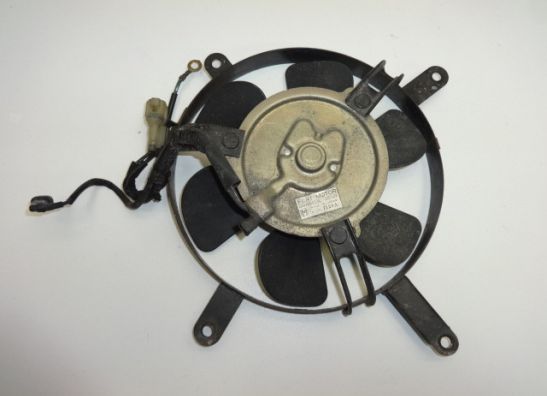 Fan Honda CBR 1100 XX