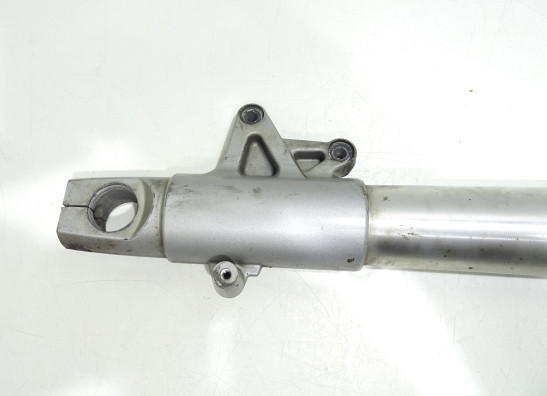 Voorpoot links compleet BMW R 1200 RT