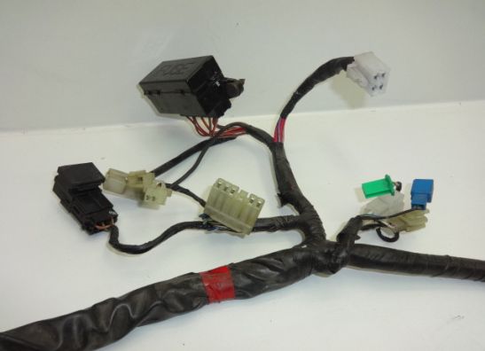Wire Harness Yamaha FAZER 600