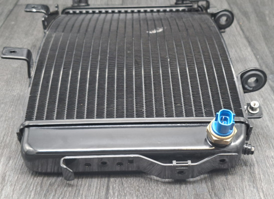 Radiator KTM 690 Duke 