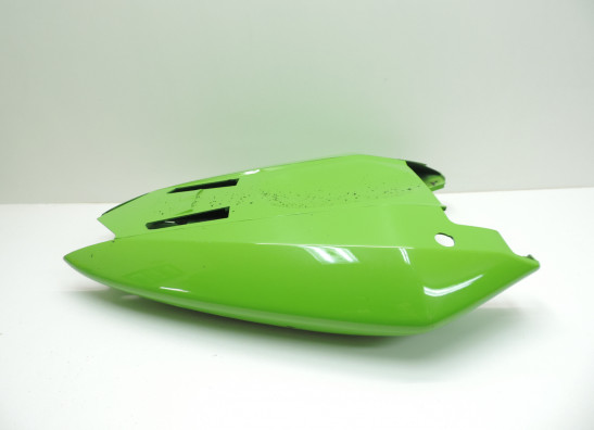 Heck Kawasaki ZX 10 R