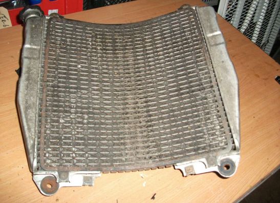 Kuhler Kawasaki ZXR 750