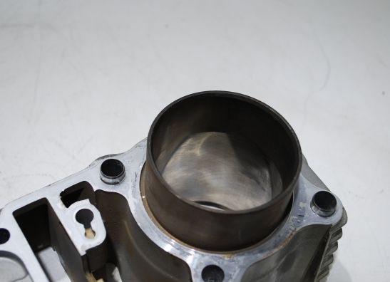 Cilinderblok Honda TRANSALP